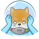 Космический рейнджер Акио emoji 😰