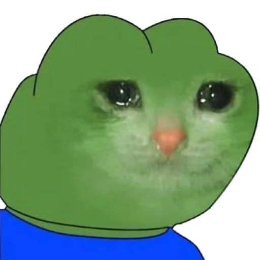 Cosplay Pepe 🐸 emoji 😿