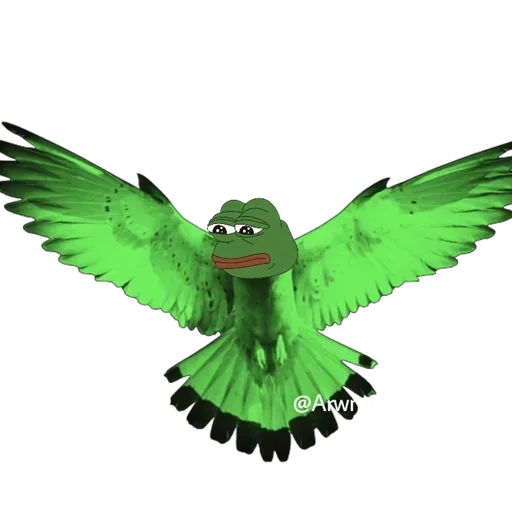 Cosplay Pepe 🐸  emoji 🦅