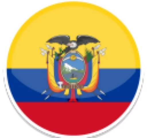 Copa America emoji 🇪🇨