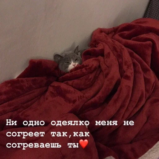 Стікер Crumple in bed 🥰