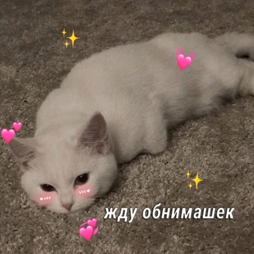 Стікер Crumple in bed 🥺