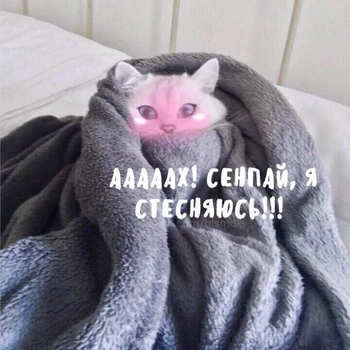 Стікер Crumple in bed 🙈