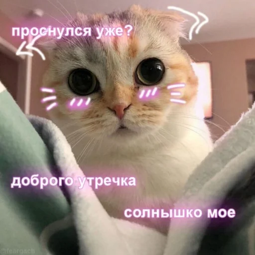Стікер Crumple in bed 🙂