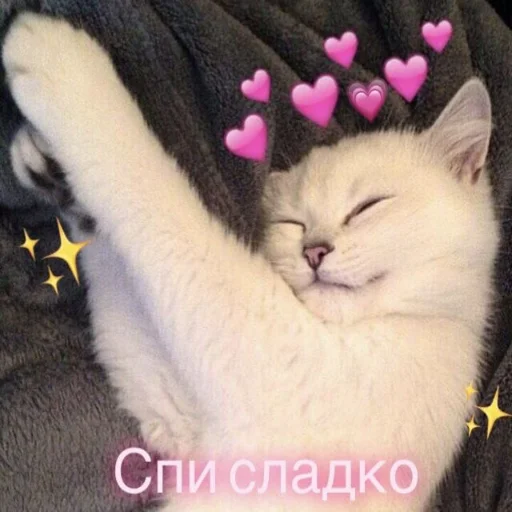 Стікер Crumple in bed 😴