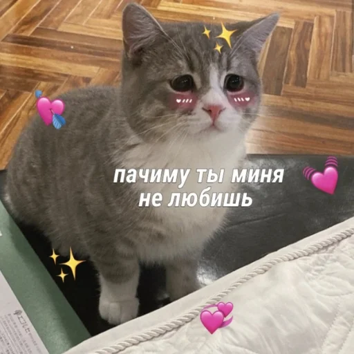 Стікер Crumple in bed 😢