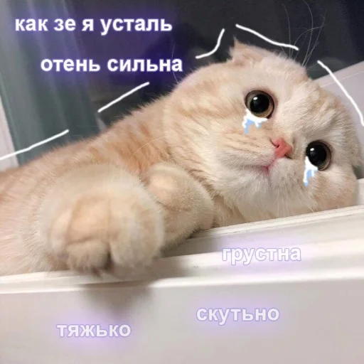 Стікер Crumple in bed 😞