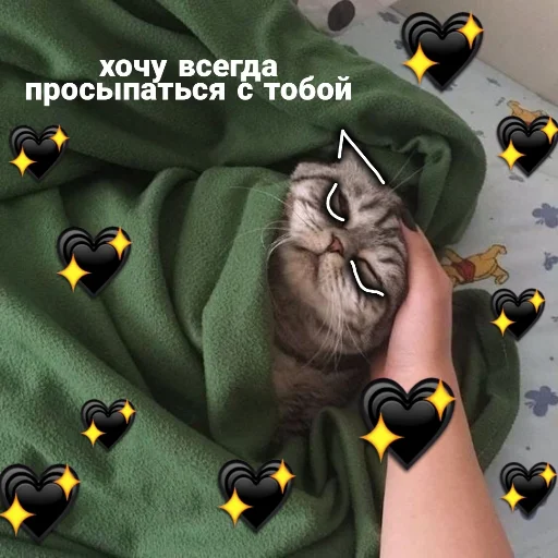 Стікер Crumple in bed 🌚