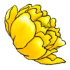 flowers emoji 🌸