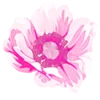 Telegram emoji «flowers» 🌸