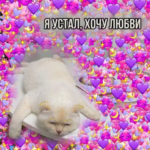 Telegram Sticker «Cute cats 100» 😞