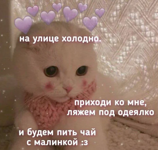 Стікер Telegram «Cute cats 100» 💜