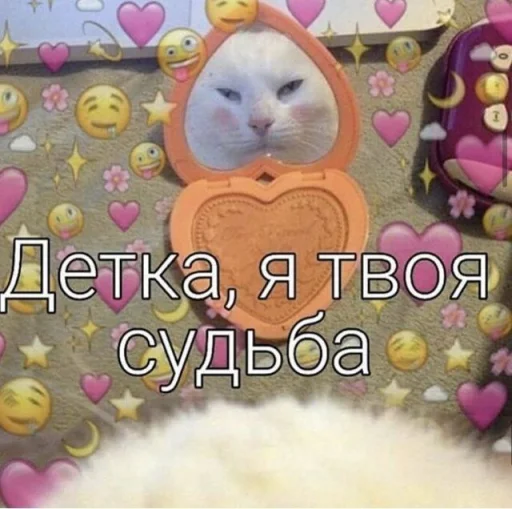 Telegram Sticker «Cute cats 100» 😏