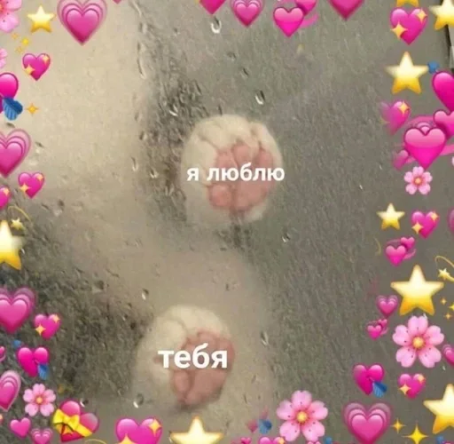 Стікер ฅ^•ﻌ•^ฅ 💖