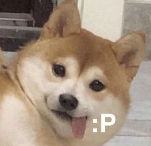 Стікери телеграм cute dogs meme