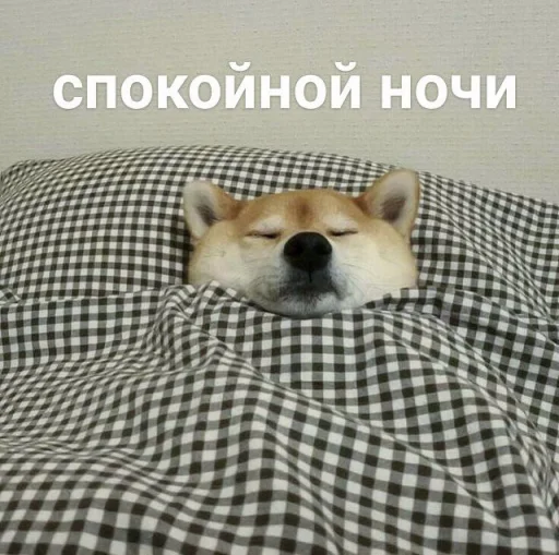 cute dogs meme emoji 💤