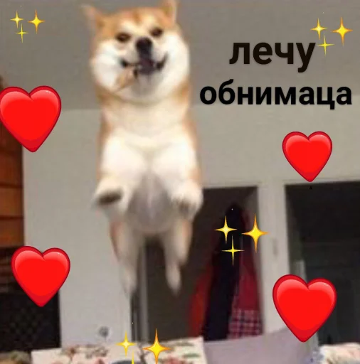 cute dogs meme stiker 🕊