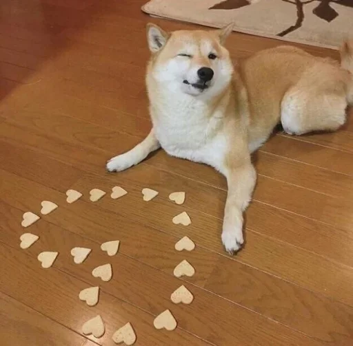 cute dogs meme emoji 💛
