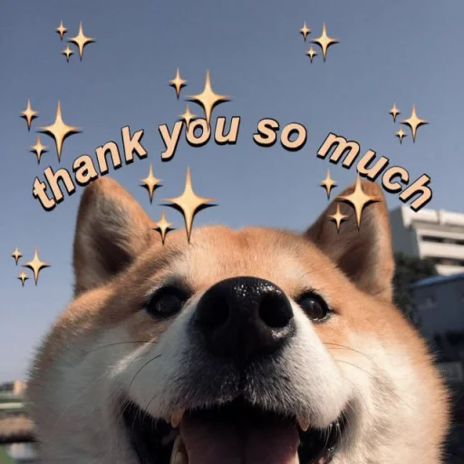 cute dogs meme emoji 😊