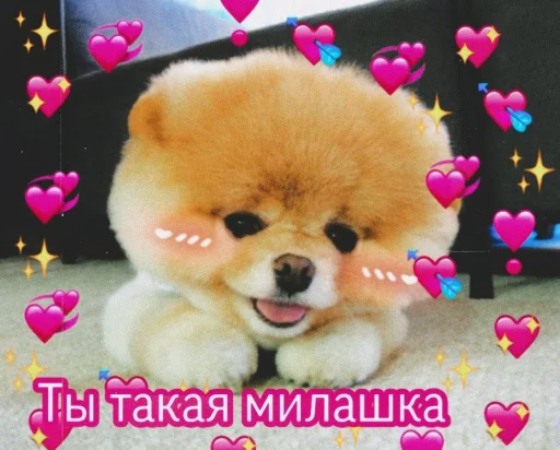 Стикер cute dogs meme 😍