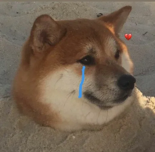 cute dogs meme emoji 😥