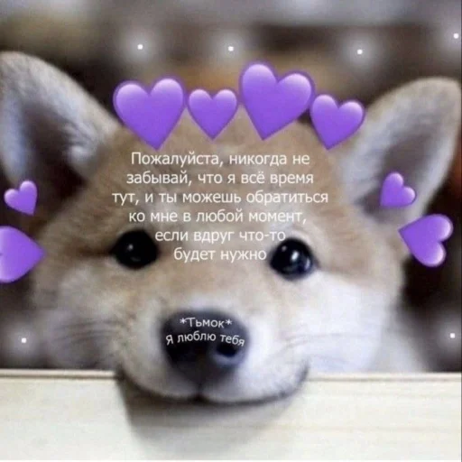 cute dogs meme emoji 💜