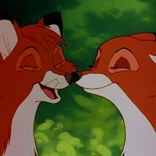 Стікер cute foxes 😘