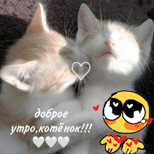 💞`cute pics!! emoji 💞