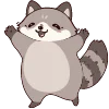 Telegram emoji raccoon