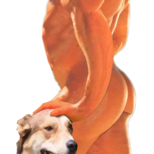 Эмодзи DDDoges 💪