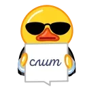 Стікер Duck is Typing 🖕