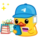Duck X sticker 🛍