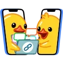 Duck X2 stiker 📂