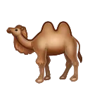 This is the end...  emoji 🐫