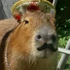 Эмодзи телеграм Capybaras / капибары