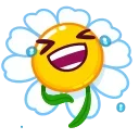 Daisy Romashka emoji 😂
