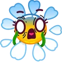 Daisy Romashka emoji 😨