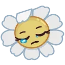 Daisy Romashka emoji 😔