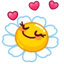 Daisy Romashka emoji 🥰