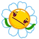 Daisy Romashka emoji 🤷‍♀️