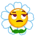 Daisy Romashka emoji 🙄