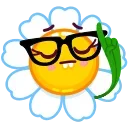 Daisy Romashka emoji 🤓