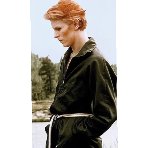David Bowie stiker 😔