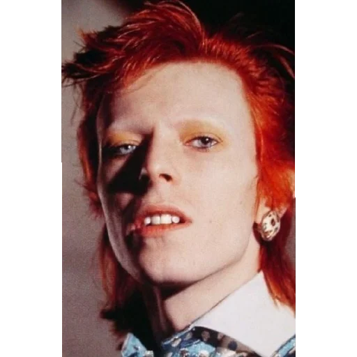 David Bowie stiker 😦