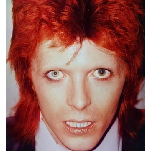 Telegram stiker «David Bowie» 👀