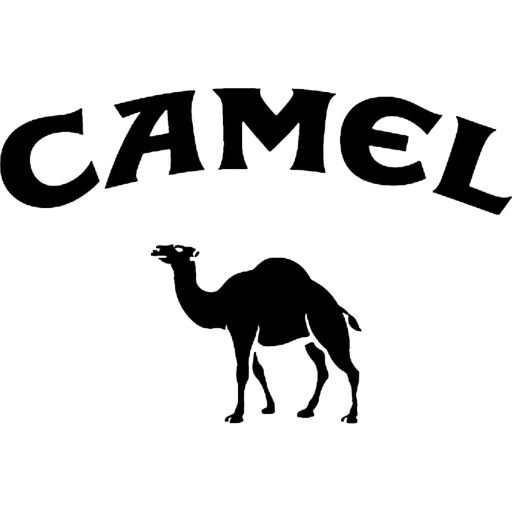 Telegram stiker «Camels ਬੋਤੇ» 🐪