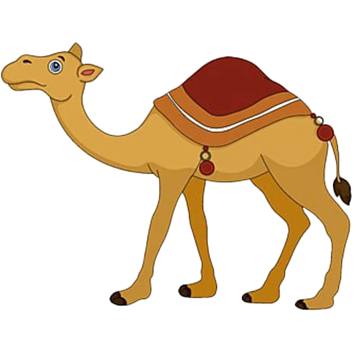 Telegram stiker «Camels ਬੋਤੇ» 🐪