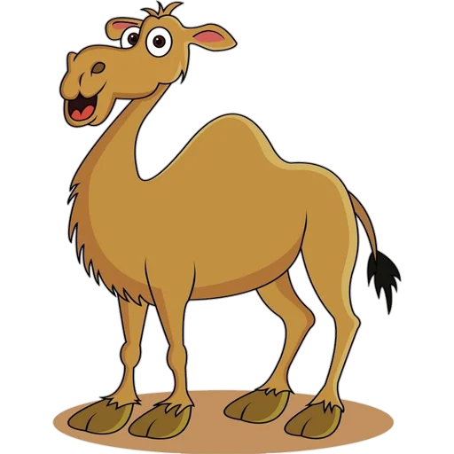 Стікер Telegram «Camels ਬੋਤੇ» 🐪