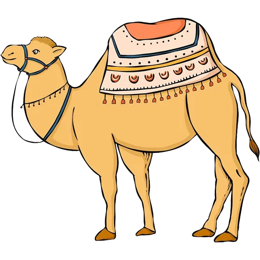 Стікер Camels ਬੋਤੇ 🐫