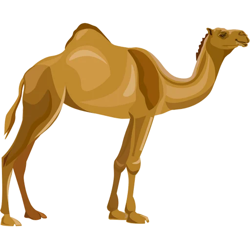 Camels ਬੋਤੇ stiker 🐪
